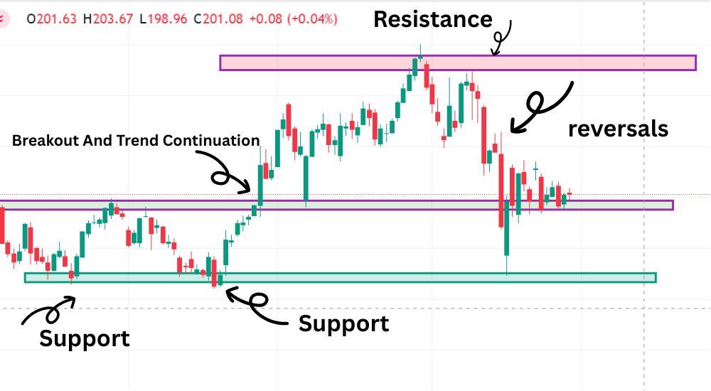 Real-World Support and Resistance Case Studies